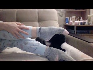 periscope live broadcast stream vlog (I'm upset😳)