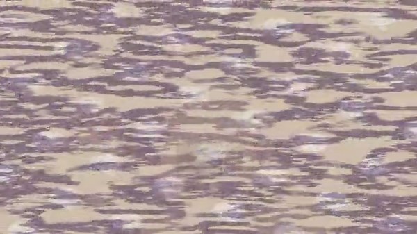 Cinematic backdrop design with organic motion graphics for professional video projects art style Stock Video Footage - Alamy