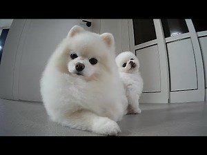 일찍 일찍 다니라고 했지!