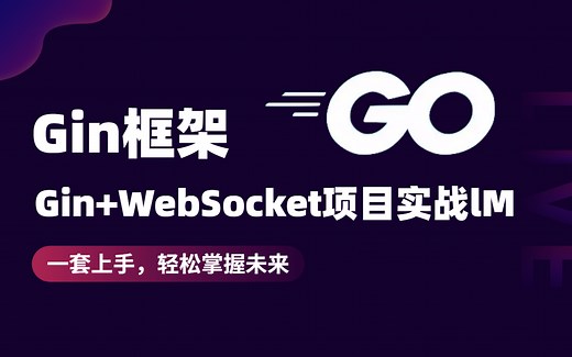 【2024最新GoWeb】实战开发教程，一小时上手Gin框架/基于go语言实现IM功能,通过GIN websocket实现QQ项目/GOLIANG并发编程！