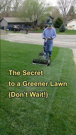 The Secret to a Greener Lawn (Don't Wait!)#LawnCare #MowingTips #GreenGrass #lawnmaintenance