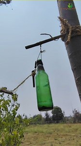 10K views · 130 reactions | Traditional farming Methods,|#deerghaayush,|#deerghaayushfarming,|#naturalfarming,|#organicfarming | Deerghaayush | Facebook