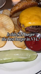 Is this the best burger in New York City? And more importantly, is it worth $29? 🍔 Where is your favorite burger spot in NYC? #brooklynbitess #brooklyn #redhook #redhooktavern #burger #burgernyc #barfood #americanfood #bestburger #fries | Brooklyn Bitess