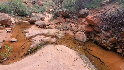 10K views · 347 reactions | A few scenes in Hellhole Canyon, in Red Cliffs National Conservation Area near St George, Utah | The American Southwest | Facebook