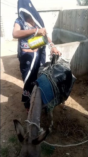 Woman Riding Donkey – Beautiful Village Scene