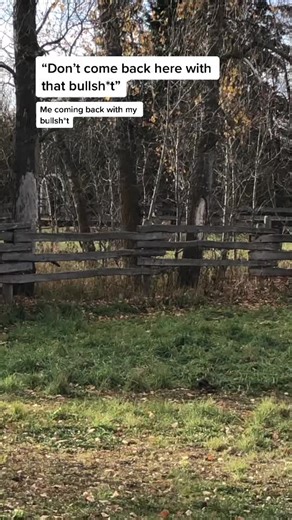 Deers falling down 🎶