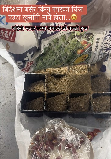 おすすめのアカウント