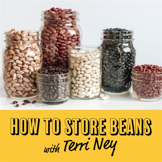 We're all about finding easy ways to add beans to your family's favourite meals! But you can't add them if you don't have any on hand! Make sure you always have dried or canned beans on hand by following these storage tips: 👉🏻 Store unopened canned beans in a cool, dry place for up to one year. 👉🏿 Dry beans should be stored in a container with a tight fitting lid. 👉🏽 Store cooked beans in an airtight container in the refrigerator for up to 3 days. 👉🏾 Freeze cooked beans for up to 6 month