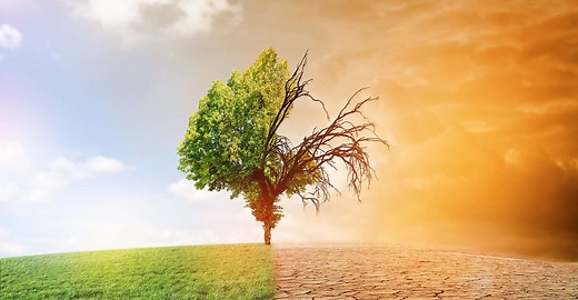 Quelles sont les conséquences du réchauffement climatique ?