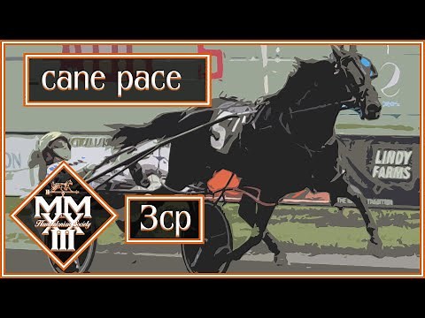 2023 Cane Pace - Confederate - 3CP