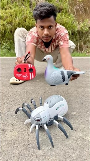 Rc Birds and Makor Mama Unboxing and Tasting