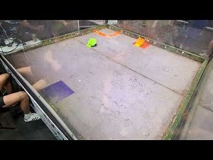 Team Cheesy Doom Robot Renegades Summer Showdown 2025 Antweight Plastic Cheesy Doom vs White Cheddar