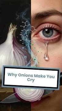 Why Do Onions Make Us Cry?