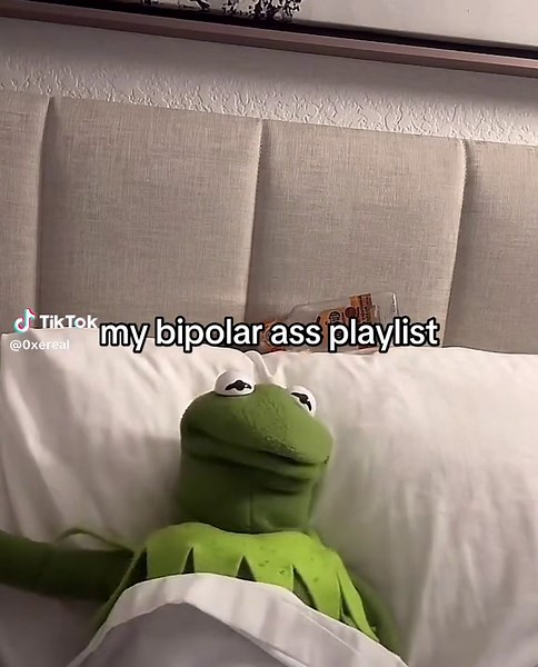 Kermit The Frog Music Playlist - My Bipolar Ass Playlist