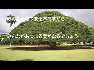 日立の樹 この木なんの木 歌詞付き