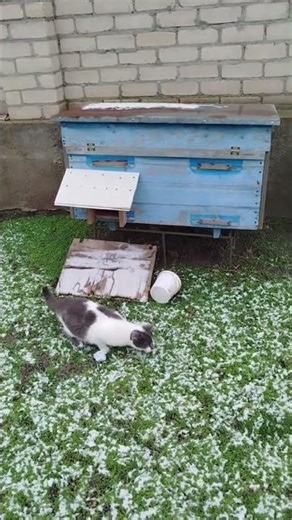 4 апреля 2026 г.