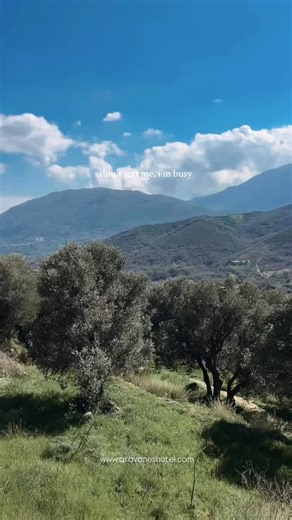 Aravanes•Wedding Venue•Hotel•Taverna on Instagram: "We love the new trend of 2026 — being slow. Being present. Being in love with yourself and your own time. In Aravanes, we do it every day. Come to us so we can show you how💚 #crete #slowlife #cretegreece #lifegoals #weddingvenue"