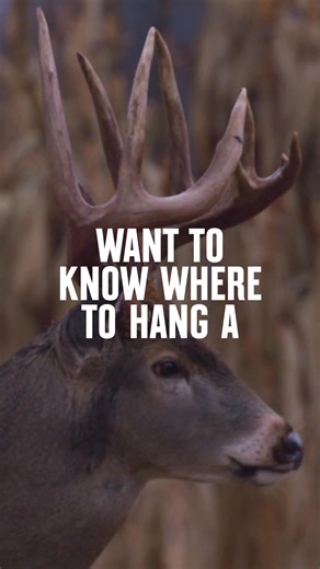 Stop guessing. onX Hunt’s 3D Maps reveal funnels, benches, and pinch points for better stand placement. | onX Hunt