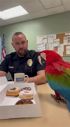 Charlie the Red Macaw at the Police Station #TalkingParrot #PoliceComedy #FunnyBird