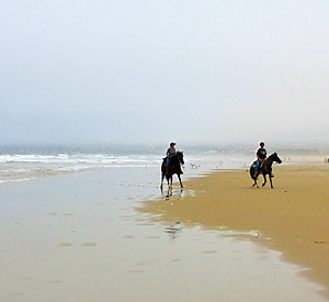 Beach Horseback Riding