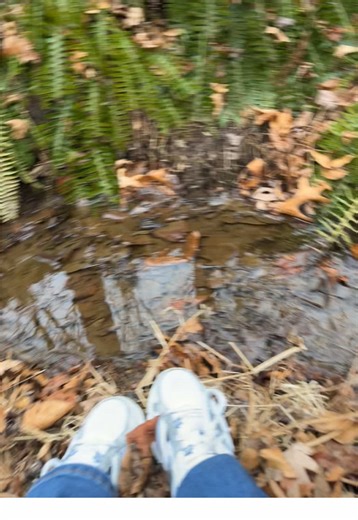 Come by and say hi! #fyp #foryou #meetandgreet #ashby | ashly