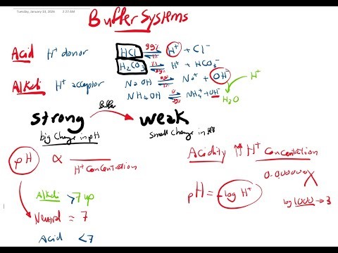 Buffer systems & Acid base disturbance