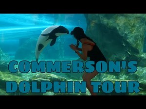Aquatica’s Commerson’s Dolphin Tour| Meeting tiny dolphins!