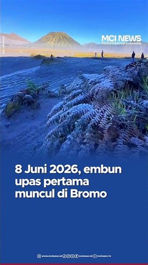 BROMO BERSALJU MUNCUL PERTAMA KALI TAHUN INI