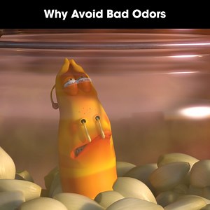 Why Avoid Bad Odors | No One