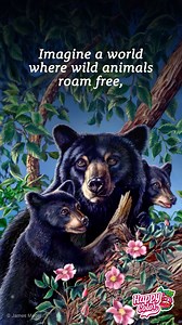 43K views · 1.4K reactions | Nature’s beauty is calling... Get ready to color moments of peace and wild joy. Coming on May 1st! | Happy Color - Color by Number | Facebook