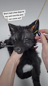 15K views · 315 reactions | Finishing the last of the pre-ordered soft mount fox pups. ♡ | Reanimate | Facebook