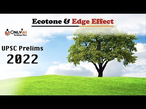 Everything You Need To Know About Ecotone & Edge Effect || UPSC 2022 || ‪@OnlyIasnothingelse‬