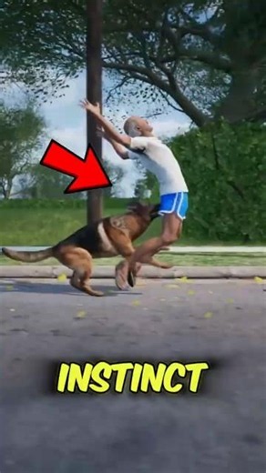 Never Run From an Aggressive Dog — Do This Instead! 🐕⚠️