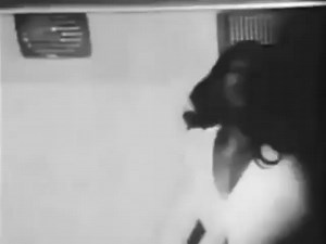 21K views · 702 reactions | Ike & Tina Turner River Deep, Mountain High 1966 | Top Hat Crew's "Live Music Archives" | Facebook