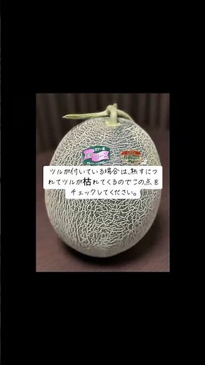 メロンの収穫タイミングを徹底解説！