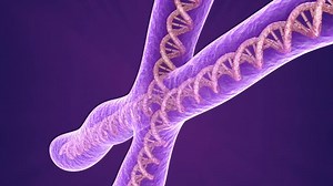 clip-20346853-chromosome-molecule-closeup-3d-animation