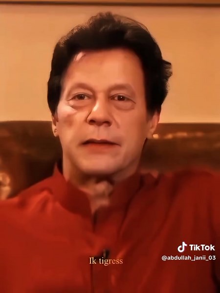 Imran Khan's Leadership Insights Explained