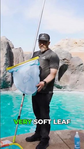 This guard changes everything about pool nets #pooltips