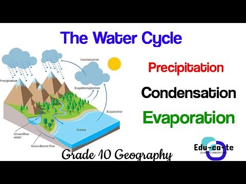 The Water cycle - Grade 10 Geography