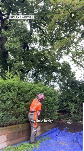 1.2K views | A day in the life of a 19-year-old tree surgeon (yes, it’s harder than it looks!) | Awesome Videos | Facebook