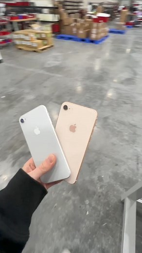 2.6K views · 16 reactions |  Looking for an affordable iPhone option? Look no further! The iPhone 8 is the cheapest iPhone we sell, starting at just $119. It comes in silver, gold, and space gray and is perfect for younger kids with its smaller size and easy-to-use home button. Don't miss out on this crazy good deal! | Plug - Shop Tech | Facebook