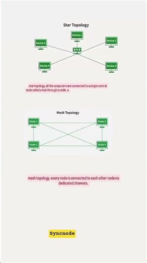 NETWORK TOPOLOGY #rootserver #debian #raspbian #raspberypi #nvm #bashtop #noroot #openwrt #freenas