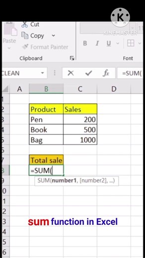 Sum function in Excel