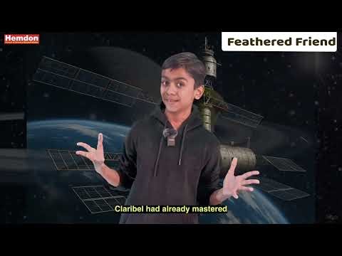 Feathered Friend Class 8 | Super Easy Summary & Meaning