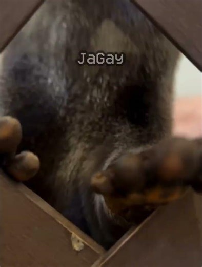 half life (1.1.2) (no effort) #halflife #halflife1