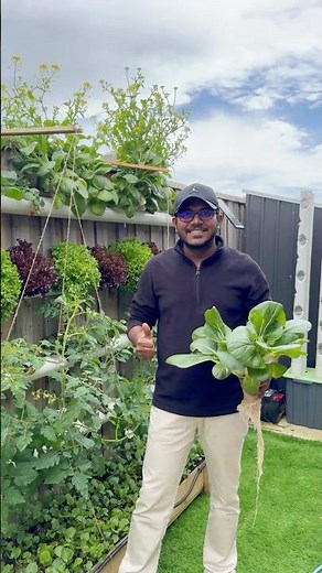 Backyard Hydroponic Tour 🍓💧 35 Days of Off-Grid Growth! | DIY with Sam #diywithsam #garden