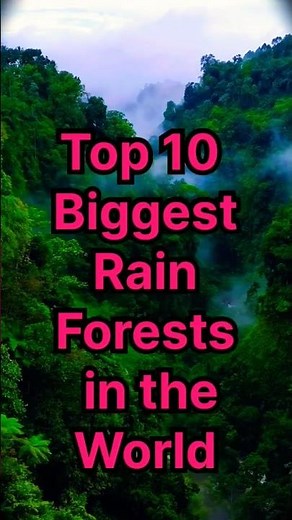 Top 10 Biggest Rainforests in the World 🌲🌍#factsshorts #worldfacts #facts #top10 #trindingshorts