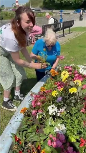 Ocean MINI - Britain in Bloom