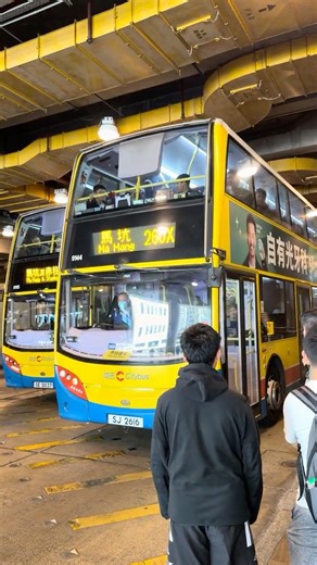 [大型動物園] SJ2616 Citybus 城巴 MMC 11.3米舊頭 9144 行走260X(回程首航) #bus #citybus #9144 #260x