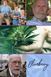 The Blueberry Farmer